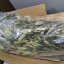 Nafresh Tall Faux Olive Tree7ft84in Realistic Potted Silk Artificial Indoor with Green Leaves and Big Fruits for Home Office Living Room Bedroom Stairs Foyer Decor.