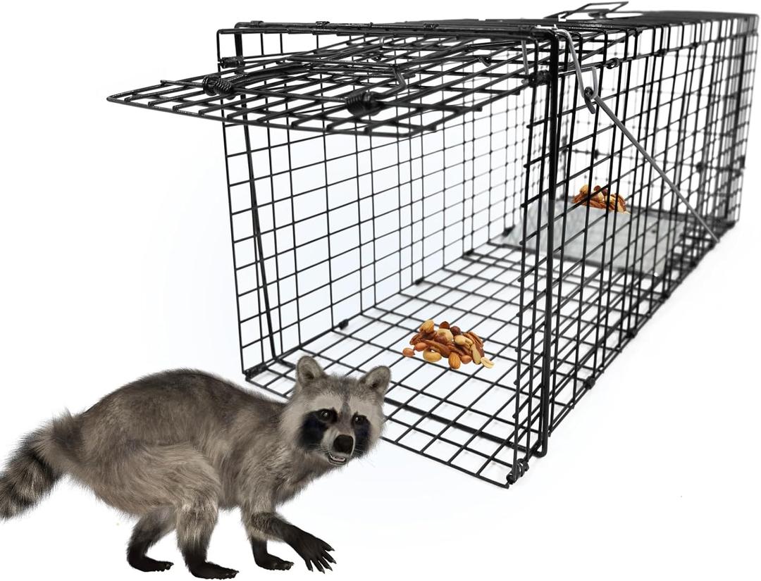 Live Humane Animal Trap, 32" x 11" x 12" Heavy Duty Humane Animal Cage Trap Catch and Release, Foldable Cat Trap for Stray Cats, Raccoons, Groundhogs, Opossums, Armadillos, and Similar-Sized Animals