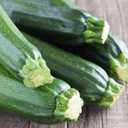 2 x Seeds SunGreen Zucchini Squash Non GMO Vegetable Heirloom for Planting
