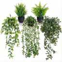 5 Pack Fake Plants for Wall Home Room Office,Artificial Hanging Plants,Small Potted Plants Decor, Artificial Plants Indoor Outdoor for Shelf Wall Decor