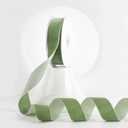 MEEDEE Sage Green Velvet Ribbon 1 Inch Single Face Nylon Velvet Ribbon 2 Rolls 20 Yards Light Green Ribbons for Christmas Tree, Gift Wrappig, Rustic Wreath, Velvet Bow Making, Home Decor