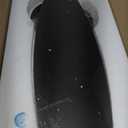 Flush Mount Ceiling Fans with Lights 42 Inch, 3 Blade LED Low Profile Ceiling Fans with Remote for Bedroom Living Room Patio, Dimmable, 3CCT, Quiet Reversible DC Motor, Black Gold