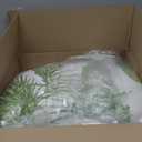 WONGS BEDDING Botanical Comforter Set King, 7 Pieces Blue Palm Tree Bed in a Bag, Reversiable Soft Microfiber Coastal Beach Bedding with Comforter, Flat Sheet, Fitted Sheet, Pillow Shams & Pillowcases