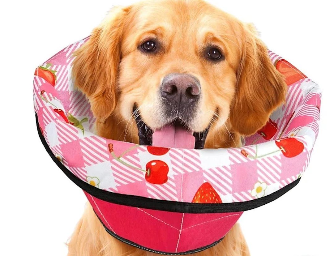 Dog Cone Soft Surgery Dog Cone Collar  Adjustable Long Foldable Comfortable for Recovery Alternative Prevent Biting Stop Licking Wound Small Medium Large Dogs (Strawberry Red, XL)