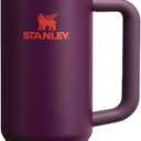 STANLEY Quencher H2.0 Tumbler with Handle and Straw 30 oz | Flowstate 3-Position Lid | Cup Holder Compatible for Travel | Insulated Stainless Steel Cup | BPA-Free | Plum
