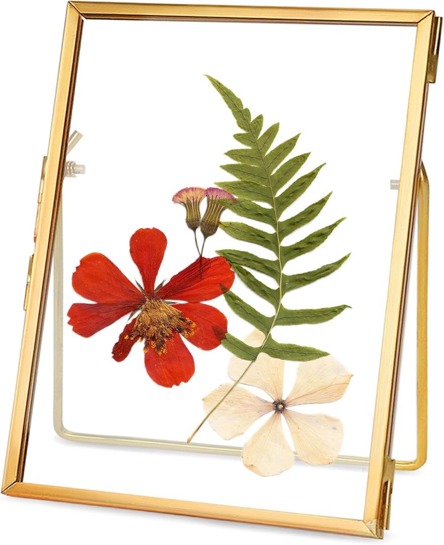 REDHUGO Glass Pressed Flower Frame Handmade, Floating Picture Frames for Pressed Flowers, Tabletop Artwork Photo Frames, Brass Desk Picture Frame for Home Office Plant Specimen, Gold, 4x6 Inches