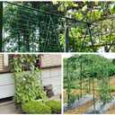 Green Polypropylene Garden Trellis Netting 6.5x100 ft, Heavy Duty Plant Support Net for Climbing Vegetables, Fruits & Flowers