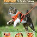 Halypet Cat Harness and Leash Set [MAX Safety 4th-Gen Upgrade] Escape Proof Adjustable Cat Leash Comfortable Soft Vest Easy to Wear Kitten Harness with Reflective Strip for Cats Walking, S Orange