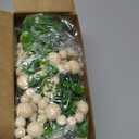 Hanging Eucalyptus Boho Wall Decor Large Boho Bedroom Wall Hanging Wooden Bead Garland Artificial Eucalyptus Natural Greenery Decoration, 36 x 36 Inch (Simple Color, Wood Chip Style)