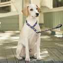 Martingale Dog Collar - No Pull Training Collar with Flower Multicolor Cute Patterns - Premium No Slip Collar with Slidable Stop Ring for Small, Medium, Large Dogs (L, Black Set)