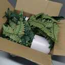 2Pack Artificial Boston Ferns Hanging Plants 23.6'' Fake Silk Fern 50 Leaves That Look Real in Pots for Outdoors & Indoor Faux Potted Plant for Home Porch Patio Garden Decor