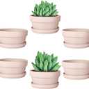vensovo 4.5 Inch Pink Terracotta Shallow Succulent Pots - 6 Pack Terra Cotta Clay Pot with Saucer, Cacuts Indoor and Outdoor Planters with Drainage Hole