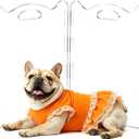 Clear Acrylic Freestanding Dog Gates, 4 Panel - 80''W x 24''H