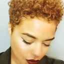 Afro Super Short Blonde Curly Wigs for Black Women, 2'' Human Hair Short Wig for Summer #27 Blonde (afro blonde)
