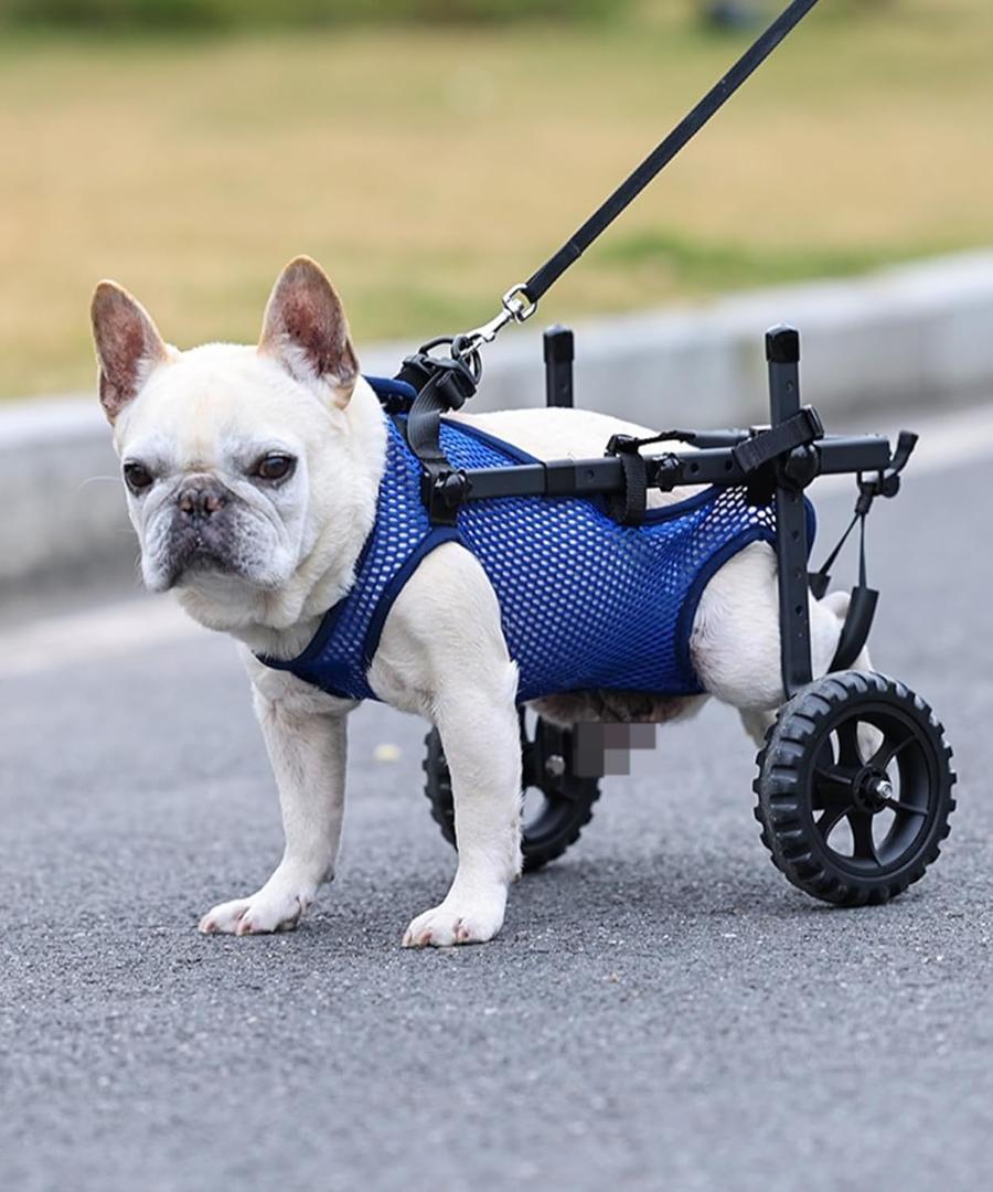 Adjustable Small Dog Wheelchair for Back Legs, Upgraded 5.5in Textured Wheel, Disabled Pets, Leg Brace, Mobility Aid for Small Pets, Hind Limb Rehabilitation, Older, Disabled (XSChest 12.6-16.1in)