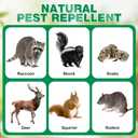 48 Pack Peppermint Skunk Repellent, Natural Raccoon Repellent Keep Skunks Out from Outdoor Yard Attic Garden House, Long-Lasting Protection, Safe for Dogs and Children