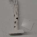 36 LED Lighted Birch Tree for Christmas Decor, Money Tree Centerpieces Table Decorations for Winter Home Mantel (White)