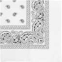 Juoar 22"X22" 100% Cotton Paisley Printed Bandanas Large Thick Scarfs Fashion Headwear for Men and Women (3, White)