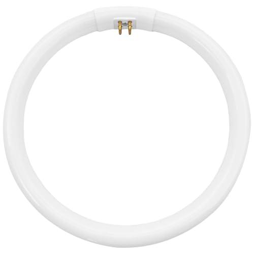 Dlh western 7.25" Bulb Replacement Compatible with T5 Circle Type 22 Watt Lamp for Floxite, Zadro and Rialto Vanity Mirrors