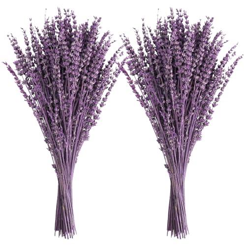 Uieke Dried Lavender Flowers Bundles, 16" Dried Purple Preserved Lavender Stems Bouquet for Shower Weeding Home Fragrance Vase Crafts Decor, 100g(3.52oz)