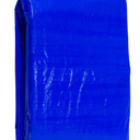 Blue Pole Trap, 16 x 20"