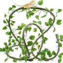 QUOZUO Reptile Tank Accessories, Artificial Plants Vines and Flexible Leaves With Suction Cups, Crested Gecko Tank Long Vines Hide for Climbing, Chameleon, Lizards
