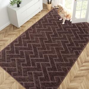 Rug 60×90, Non-Slip Machine Washable Entry Rug, Dog Door Mat, Stain Resistant Accent Rug for Hallway, Bedroom, Living Room and Mudroom, Brown