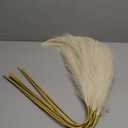  Ouddy Decor 8 Pcs Faux Pampas Grass Decor 38''/97cm Tall Artificial Large Pompous Pompas Floral Fluffy Fake Plants Floor Vase Filler for Wedding Kitchen Home Boho Decorations, Beige : Home & Kitchen