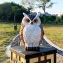 Owl Statue Garden Decor, Resin Waterproof Halloween Indoor Outdoor Lawn Yard Patio Office Living Room Decoration Gifts for Mom Women (8.3 Inch)