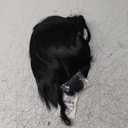 Short Black Anime Cosplay Wig with Bangs Men's Black Side Part Wigs for Halloween Party Unisex Costumes