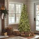 National Tree Company 9 ft Pre-lit Artificial Christmas Tree, Dunhill Fir, 800 Clear Lights, 2,100 Tips, Slim Profile, Includes Stand, Green