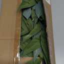 Briful Eucalyptus Stems 39.5 '' Tall, Artificial Branches for Vase Round Year Faux Greenery Stems Realistic Gray Eucalyptus Leaf Plant Sprays for Home Decor Indoor Party Wedding, Set of 3