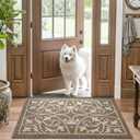 DEXI Front Door Mat Indoor Entryway, Inside Welcome Entrance Doormat Low Profile Thin, Non Slip Washable Entry Mats for House Floor Dirt Trapper, 32x48, Brown