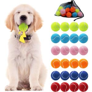 Swingers Squeaky Tennis Balls for Dog,2.5 inch Training Tennis Balls,Exercise Ball for Pet Dog with Mesh Carry Bag Easy to Transport (Multicolor, 24 Pack)