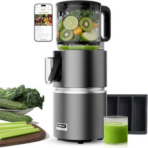Anybear Cold Press Juicer with 4.9" Large Feed Chute, 350W Masticating Juicer Machines with Dual Slow-Squeezing Technology for Whole Fruits & Veggies with High Yield | BPA-Free Tritan | Juice Recipes (Grey)