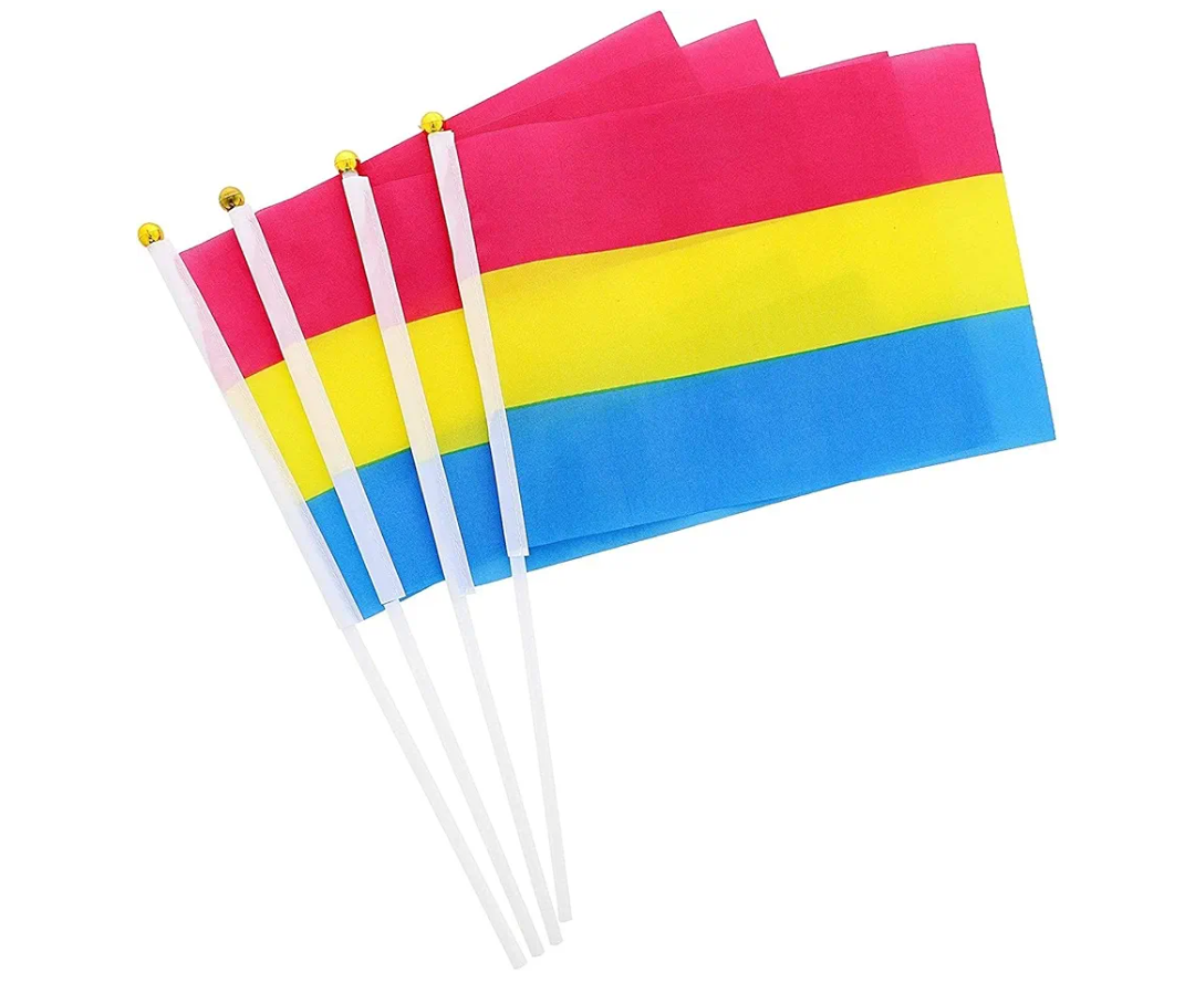 20 Pack Pansexual Pride Handheld Stick Flags for LGBTQ Parades Event, 12 Inches