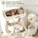 Globlazer Heavy Duty Cat Tree 78 inch Sturdy Cat Tower for 20lbs Large Adult Cats, Symmetrical Aesthetic Big Cat Tree with Extra Large Platform, 2 Scratching Boards, Z78, Beige