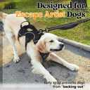 rabbitgoo Escape Proof Dog Harness for X-Large, No Pull with Lift Handle