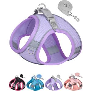 Dog Harness for Small Medium Sized Dog, Step in Puppy Harness and Leash Set Training Walking. (Purple, XXS)