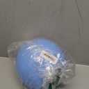 Jolly Pets Bounce-n-Play Dog Toy Ball, 8 Inches/Large, Blueberry, (Model: 2508 BB)