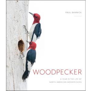Woodpecker: A Year in the Life of North American Woodpeckers, Hardcover