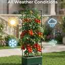 2 PackTomato Planter with Trellis, Self Watering Planter Box with Trellis, Vertical Raised Garden Bed Planter for Climbing Vegetables Indoor Outdoor Patio