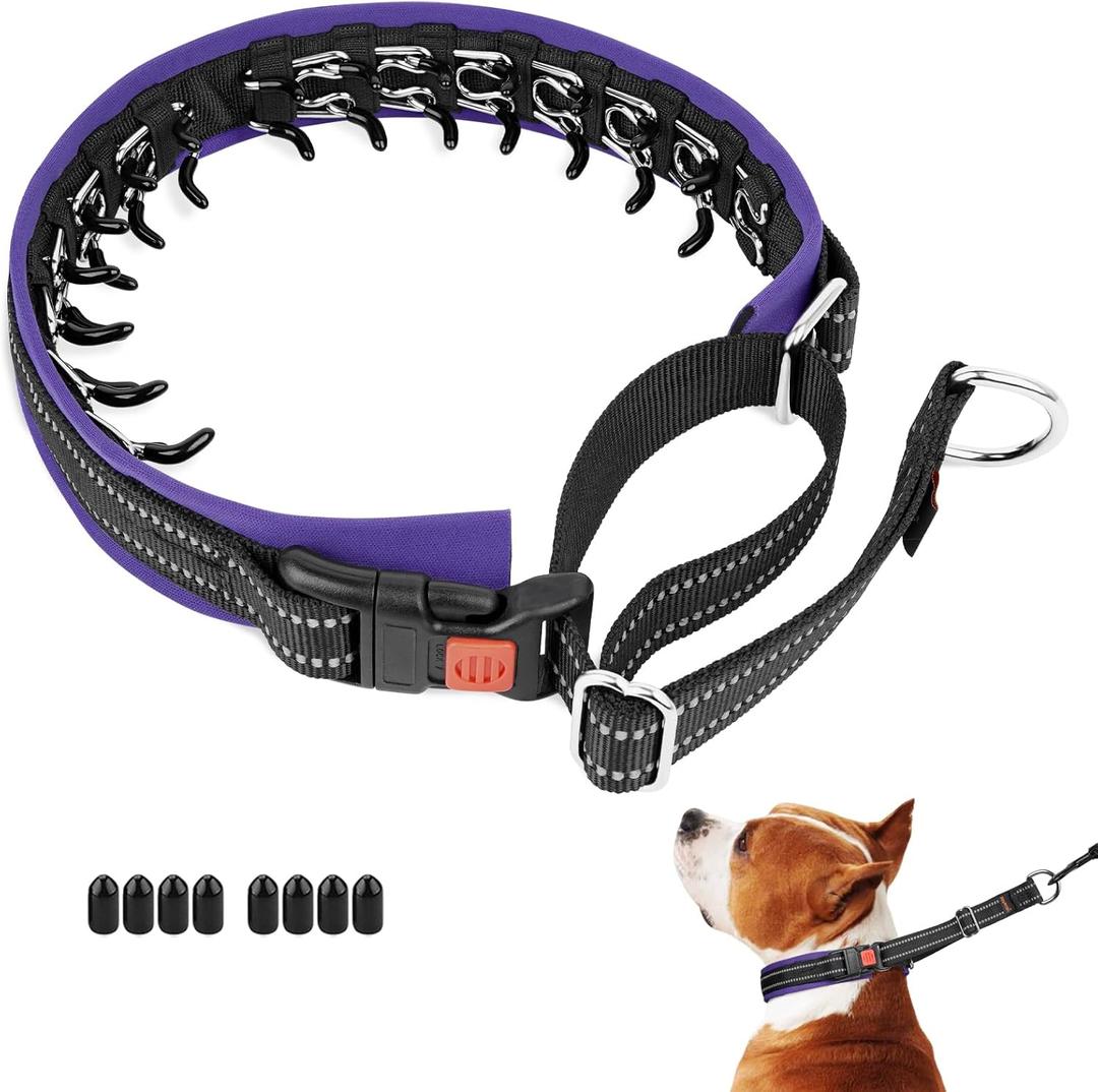 Mayerzon Martingale No Pull Collar for Medium Large Dogs, Patented Anti Pull Dog Collar with Buckle for Walking Training, with Neoprene Padding and Reflective Stitching, Adjustable(Purple Trim, L) (Large,2.5mm,25-Inch,18.5-23.5"Neck)