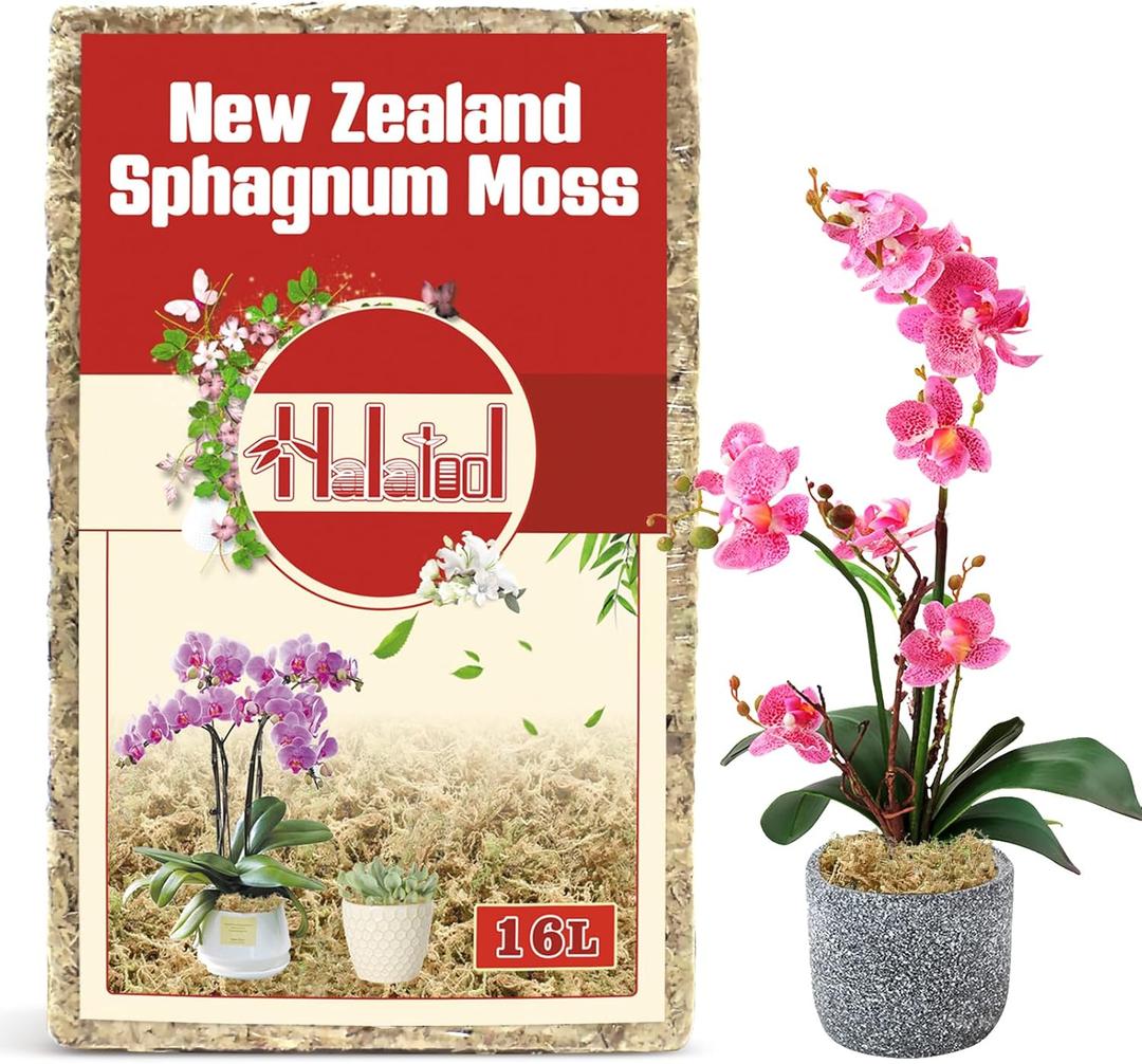 Halatool Premium New Zealand Sphagnum Moss, 200g(16L When Hydrated), for Orchid Repotting Succulent Sarracenia Potted Plants Gardening & Reptiles