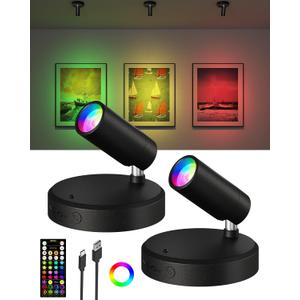 EZVALO RGB Spotlights Indoor with Remote, 5500mAh Rechargeable Picture Lights, DIY Mode & 83 Color Changing Uplighting, Wireless Mini Accent Lighting for Plant Painting, Artwork (2Pack-Black)