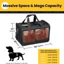 Conlun Dog Carrier Soft Sided, Large Cat Carrier with Inner Safety Leash, Pet Transport Carrier for Large Cats and Medium Dogs up to 20 Lbs, Collapsible Travel Puppy Carrier Bag -Black L