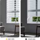 Persilux Cordless Zebra Blinds for Windows Free-Stop Roller Windows Shades (46" W X 64" H, White) Dual Layer Light Control for Day and Night, Light Filtering Sheer Shades for Home, Easy to Install