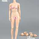 1/6 Scale Female Figure Body, Female Pale Skin Large Bust Half-Seamless Flexible Action Figure Body Doll Collection