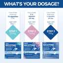 Step 1 Nicotine Patches, 21mg, 60 Count 24-Hour Stop Smoking Aid, Nicotine Replacement Therapy for Smoking Cessation, 2-Month Transition Supply