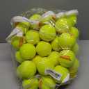 Tourna Pressureless Tennis Balls with 40 Ball Vinyl Tote, Yellow